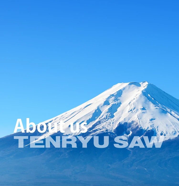 về chúng tôi Tenryu Saw