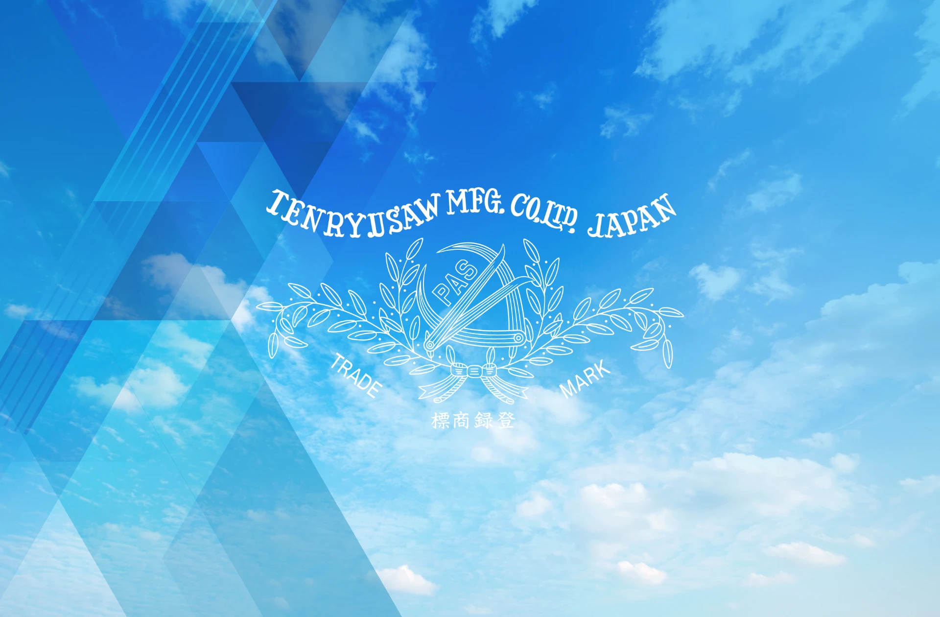 Hồ sơ công ty Tenryu Saw